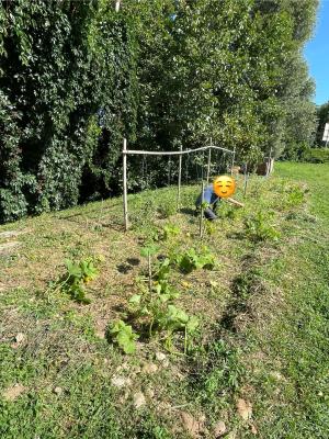 jardin 2025