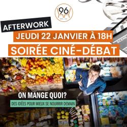 Projection 220126 vignette